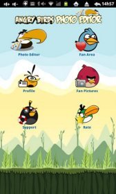 game pic for Angry Birds Photo Editor
